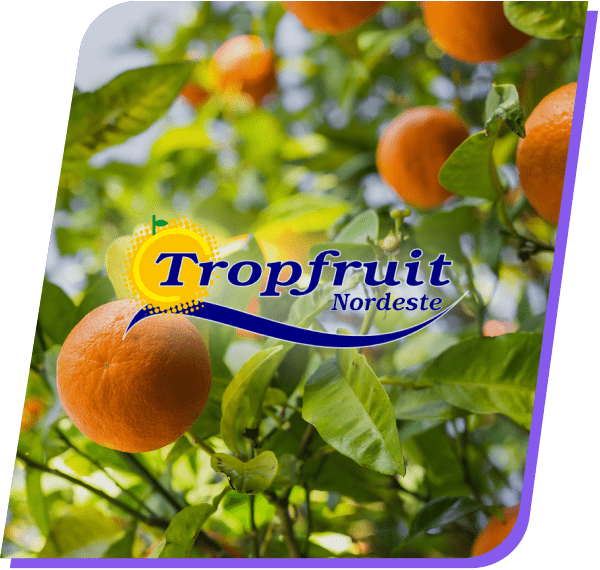 supre-x-tropfruit-min